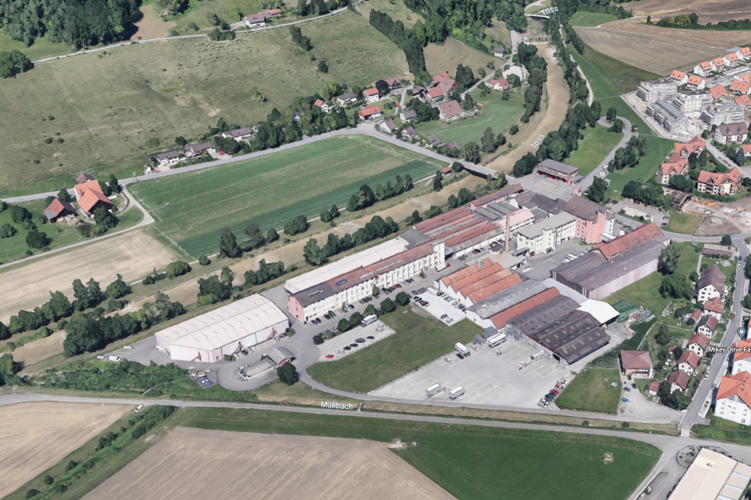 Beschreibung Bild (unterstützt Google Suche)